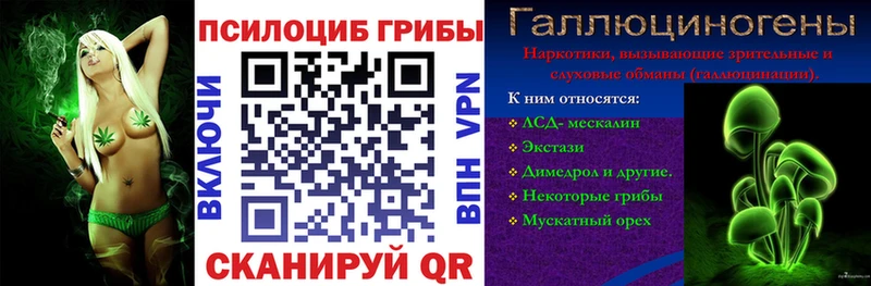 хочу Тайга Галлюциногенные грибы MAGIC MUSHROOMS