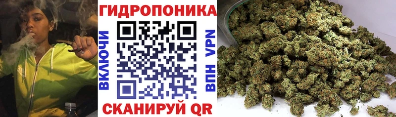 Шишки марихуана Amnesia Тайга